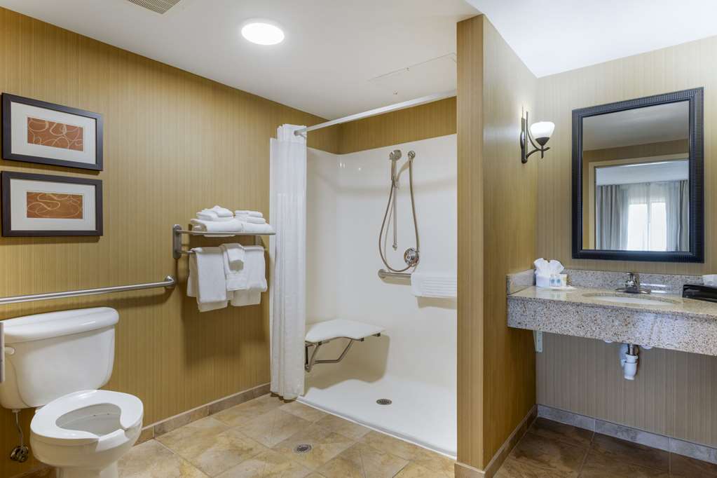 COMFORT SUITES KODAK SEVIERVILLE-guestroom-Guest Room,Bathroom,On-Site.jpg