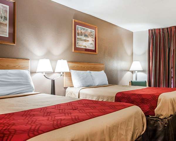  - Econo Lodge Inn & Suites Jackson - I-40, Exit 80
