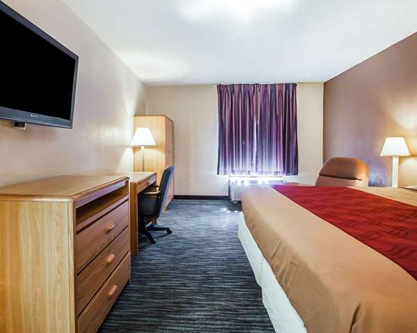 Suite - Econo Lodge Inn & Suites Jackson - I-40, Exit 80