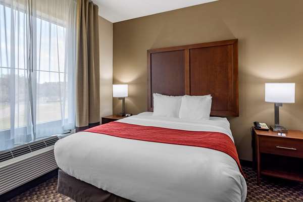 Suite - Comfort Inn & Suites Atoka