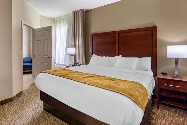 Suite - Comfort Suites Clarksville