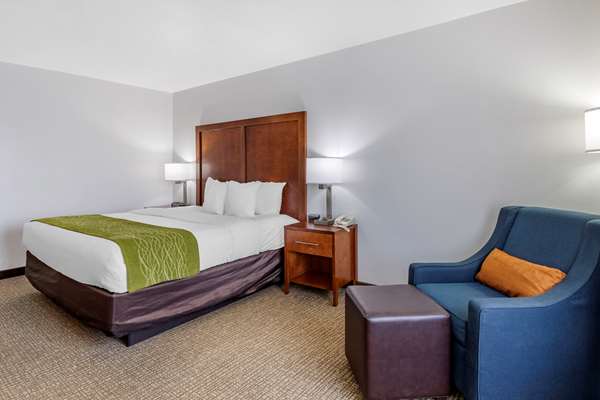  - Comfort Inn Brownsville - I-40, Exit 56