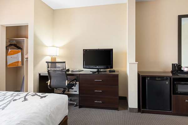 Suite - Sleep Inn & Suites Dyersburg
