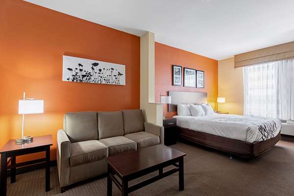 Suite - Sleep Inn & Suites Dyersburg