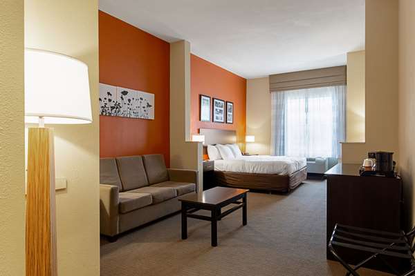 Suite - Sleep Inn & Suites Dyersburg