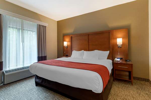 Suite - Comfort Suites Kingsport - I-26, Exit 4
