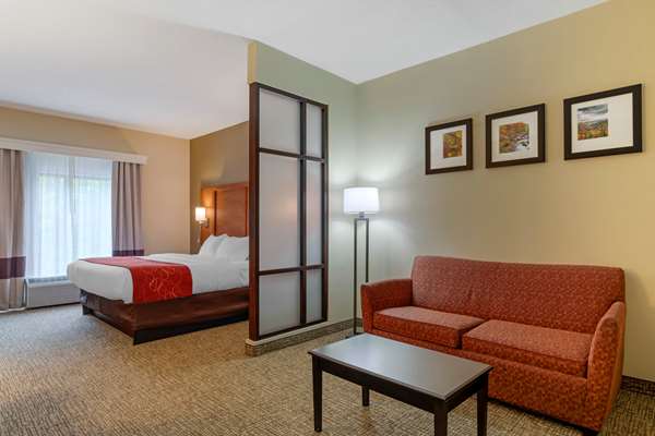 Suite - Comfort Suites Kingsport - I-26, Exit 4
