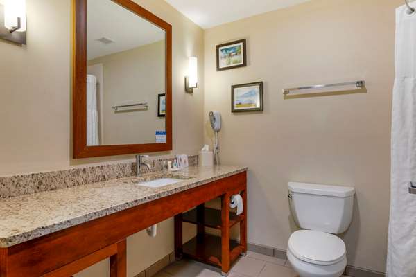 Suite - Comfort Suites Kingsport - I-26, Exit 4