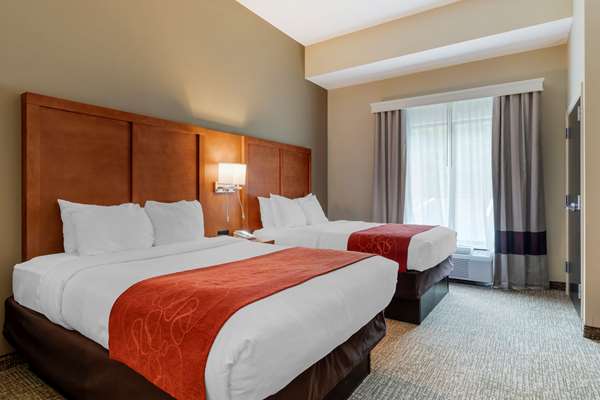 Suite - Comfort Suites Kingsport - I-26, Exit 4