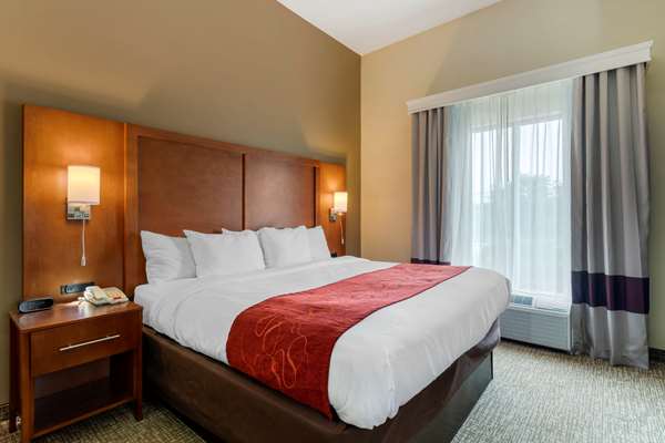 Suite - Comfort Suites Kingsport - I-26, Exit 4