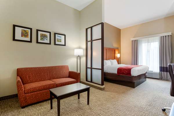 Suite - Comfort Suites Kingsport - I-26, Exit 4