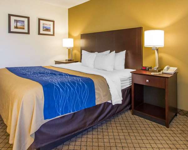  - Quality Inn Clarksville - I-24, Exit 11