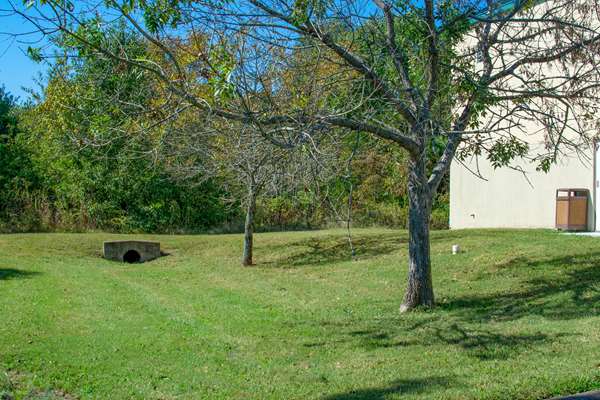 Pool - Quality Inn Clarksville - I-24, Exit 11
