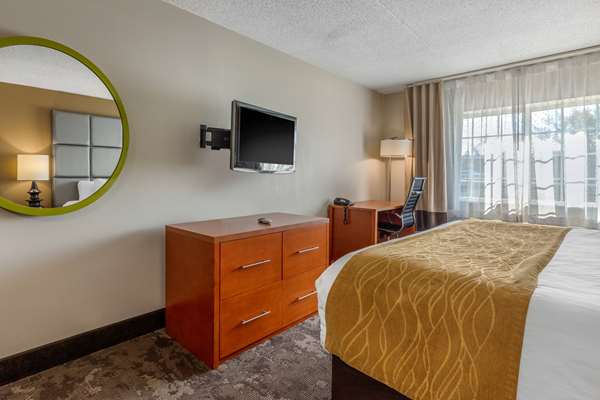 Suite - Comfort Inn & Suites Antioch - I-24, Exit 59