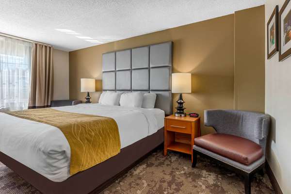 Suite - Comfort Inn & Suites Antioch - I-24, Exit 59