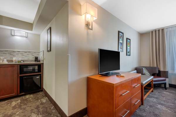 Suite - Comfort Inn & Suites Antioch - I-24, Exit 59