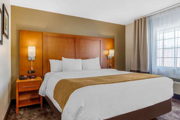 Suite - Comfort Inn & Suites Antioch - I-24, Exit 59