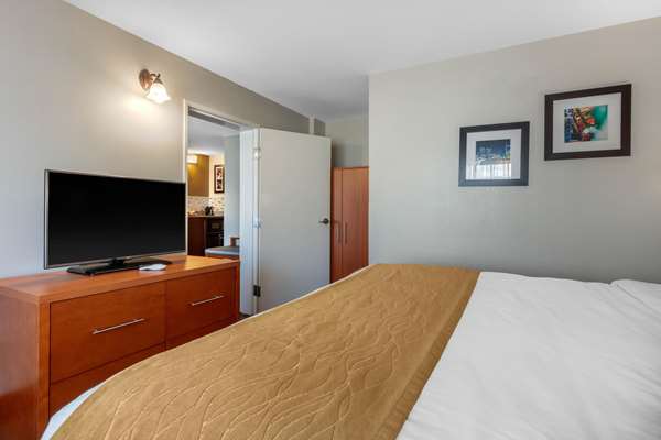Suite - Comfort Inn & Suites Antioch - I-24, Exit 59