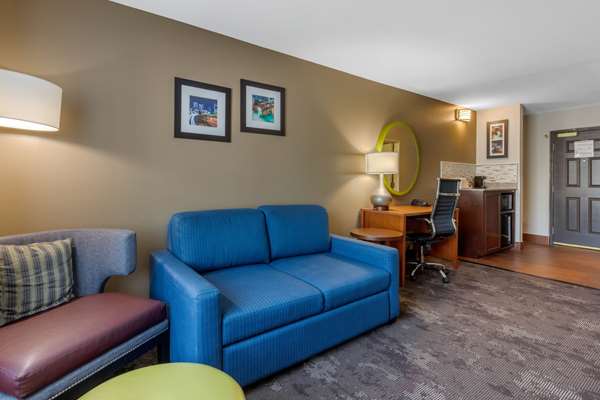 Suite - Comfort Inn & Suites Antioch - I-24, Exit 59