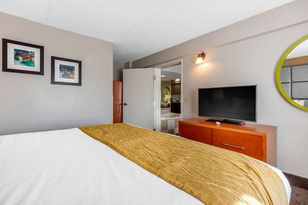 Suite - Comfort Inn & Suites Antioch - I-24, Exit 59
