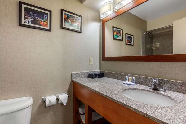 Suite - Comfort Inn & Suites Antioch - I-24, Exit 59