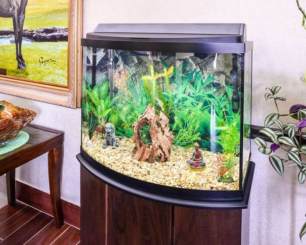  - Econo Lodge Inn & Suites Shelbyville