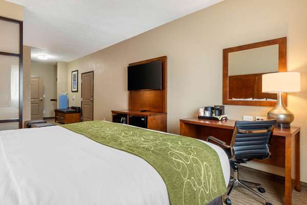 Suite - Comfort Suites Airport North San Antonio