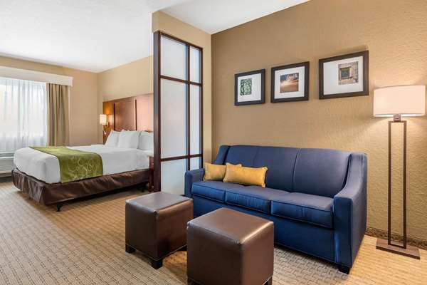Suite - Comfort Suites Airport North San Antonio