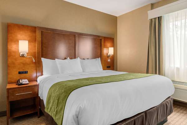 Suite - Comfort Suites Airport North San Antonio