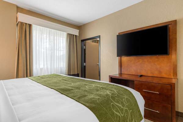 Suite - Comfort Suites Airport North San Antonio