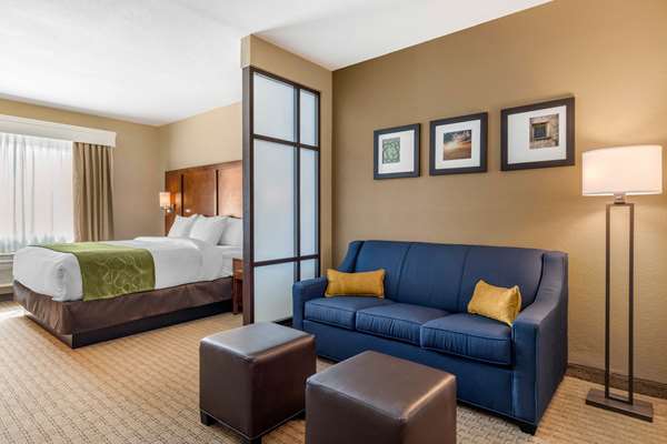 Suite - Comfort Suites Airport North San Antonio