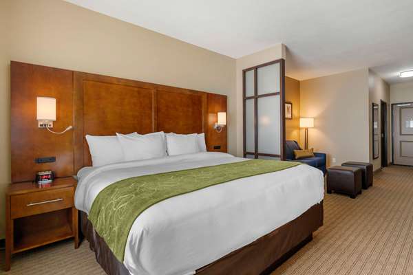 Suite - Comfort Suites Airport North San Antonio