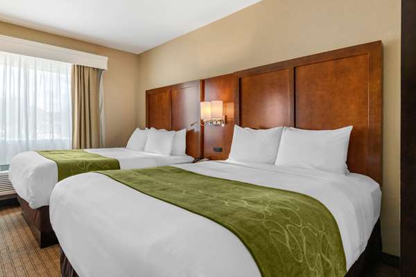 Suite - Comfort Suites Airport North San Antonio