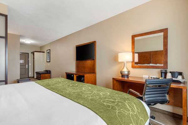 Suite - Comfort Suites Airport North San Antonio