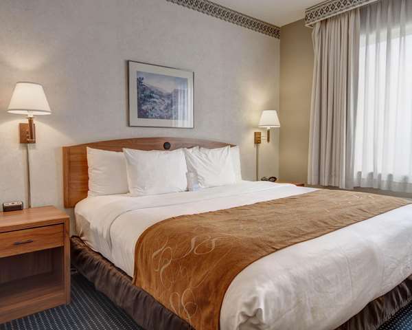 Suite - Quality Suites University El Paso - I-10, Exit 13