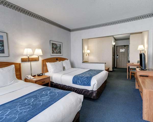 Suite - Quality Suites University El Paso - I-10, Exit 13