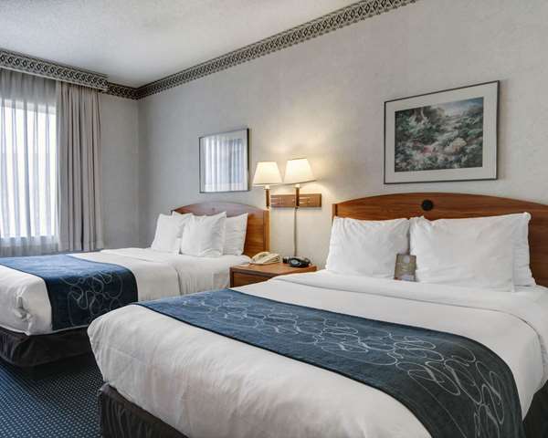 Suite - Quality Suites University El Paso - I-10, Exit 13