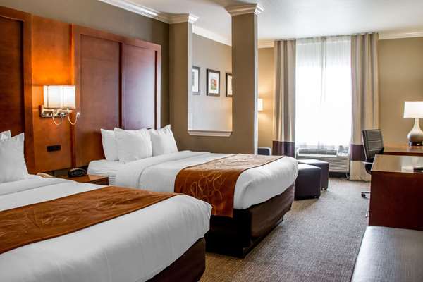 Suite - Comfort Suites New Braunfels - I-35, Exit 189