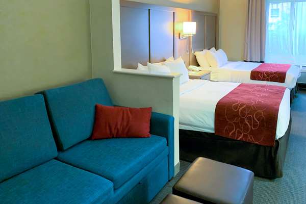 Suite - Comfort Suites Intercontinental Plaza Houston