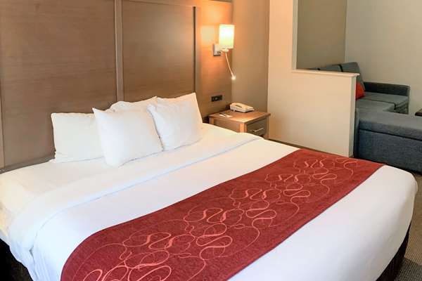 Suite - Comfort Suites Intercontinental Plaza Houston