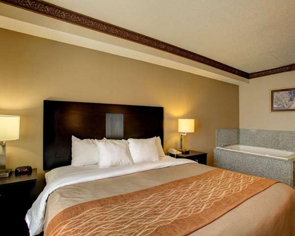 Suite - Comfort Inn & Suites Seguin - I-10, Exit 610