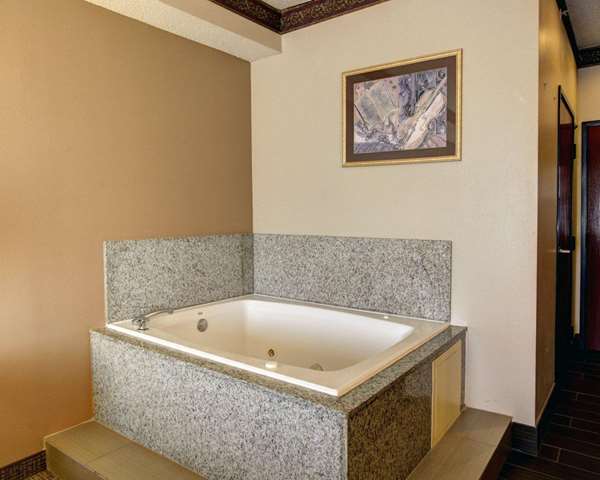 Suite - Comfort Inn & Suites Seguin - I-10, Exit 610