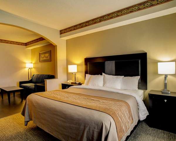 Suite - Comfort Inn & Suites Seguin - I-10, Exit 610