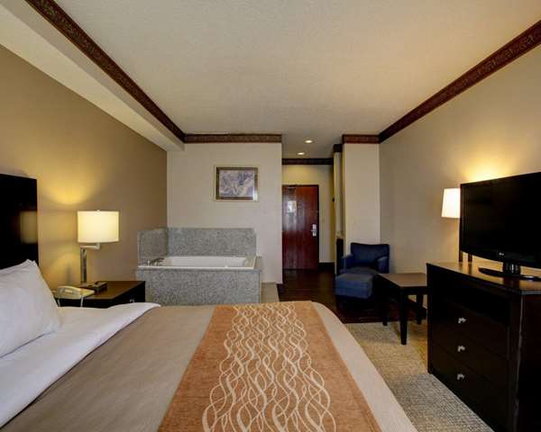 Suite - Comfort Inn & Suites Seguin - I-10, Exit 610