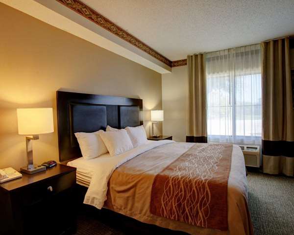 Suite - Comfort Inn & Suites Seguin - I-10, Exit 610
