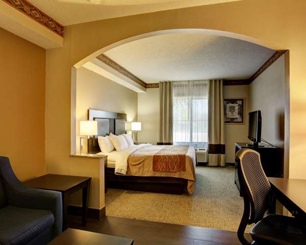 Suite - Comfort Inn & Suites Seguin - I-10, Exit 610