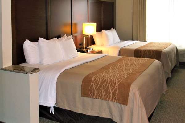 Suite - Comfort Inn & Suites Seguin - I-10, Exit 610