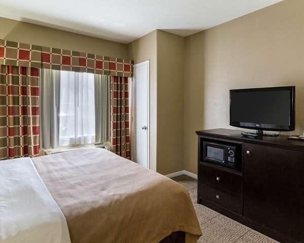 Suite - Quality Suites Northwest Freeway Houston