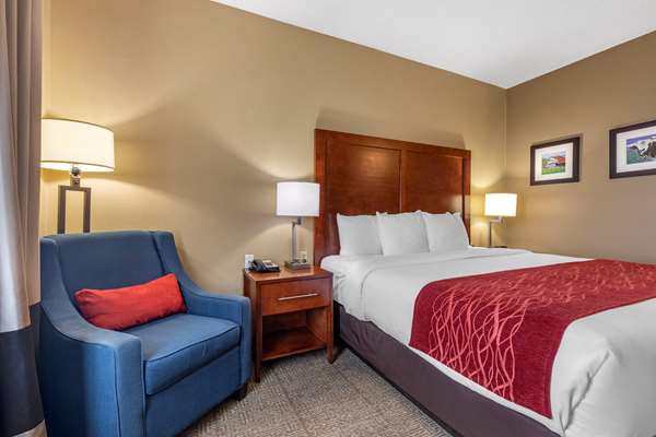  - Comfort Inn DFW North Irving