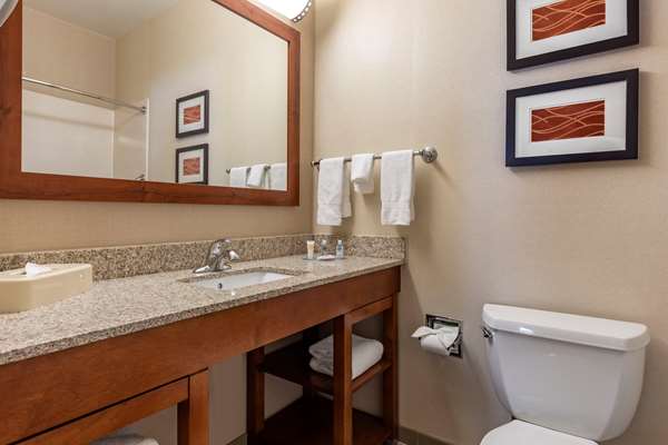  - Comfort Inn DFW North Irving